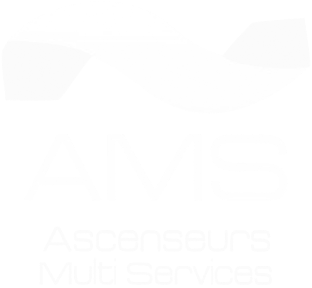 Ascenseurs Multi Services